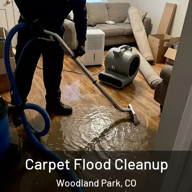  Carpet Flood Cleanup Woodland Park, CO