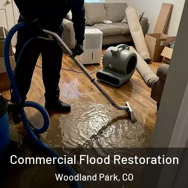  Commercial Flood Restoration Woodland Park, CO