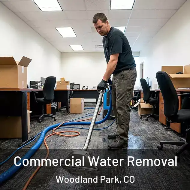 Commercial Water Removal Woodland Park, CO