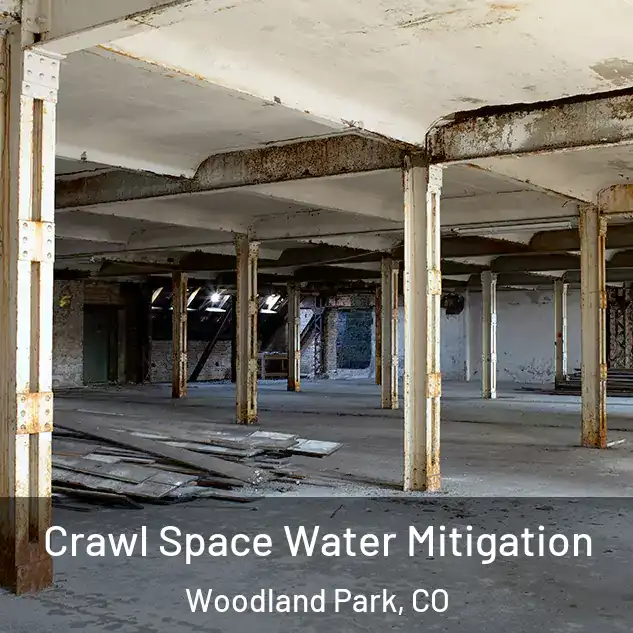  Crawl Space Water Mitigation Woodland Park, CO