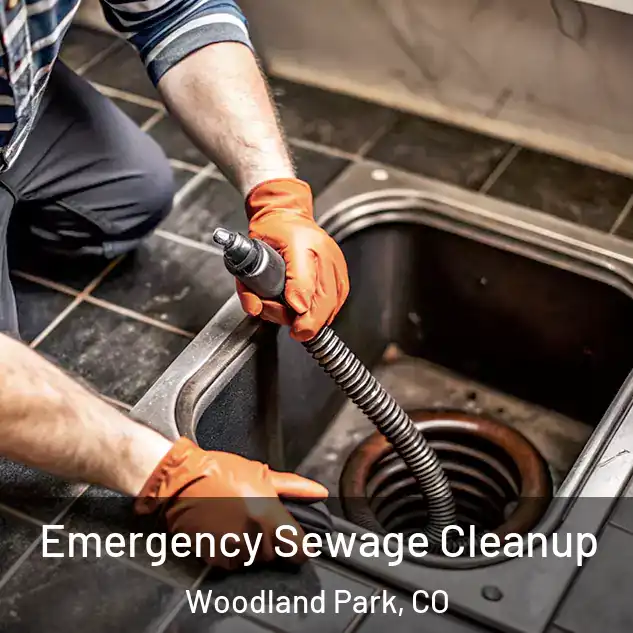  Emergency Sewage Cleanup Woodland Park, CO