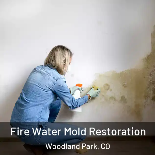  Fire Water Mold Restoration Woodland Park, CO