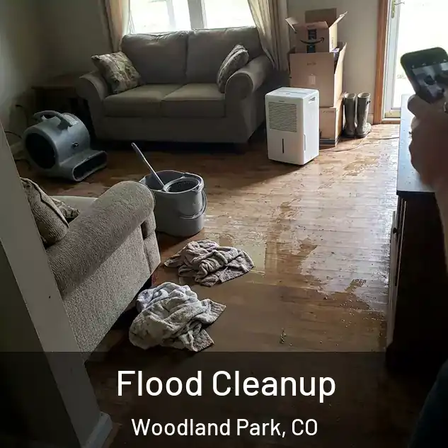  Flood Cleanup Woodland Park, CO