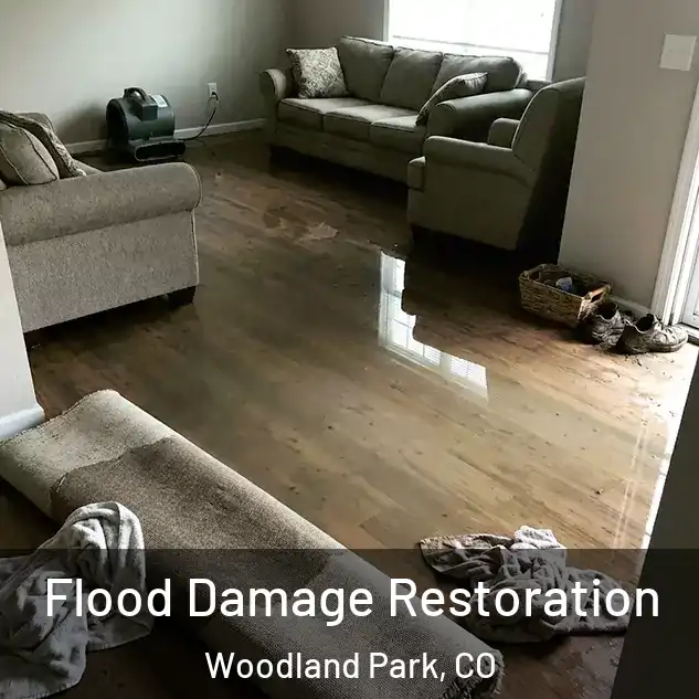  Flood Damage Restoration Woodland Park, CO