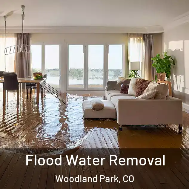  Flood Water Removal Woodland Park, CO