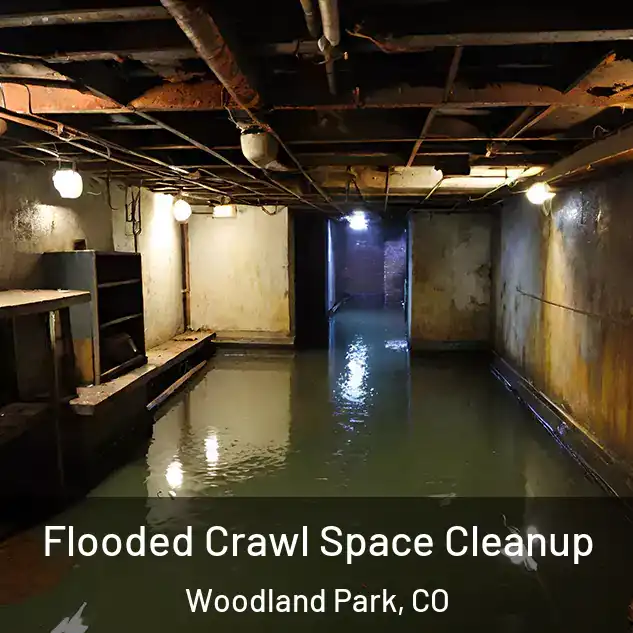  Flooded Crawl Space Cleanup Woodland Park, CO