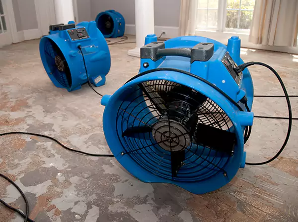 Water Damage Reconstruction in Woodland Park