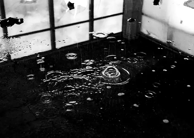Your Contaminated Water Removal Specialists in Woodland Park, CO