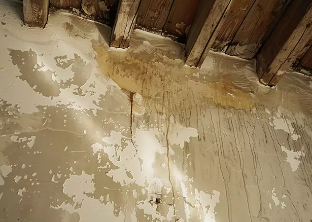 Your Trusted Restoration Company in Woodland Park, CO