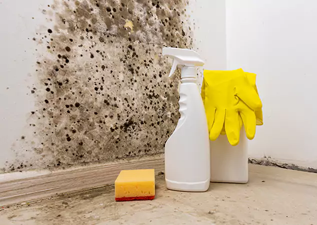 Your Reliable Restoration Company in Woodland Park, CO