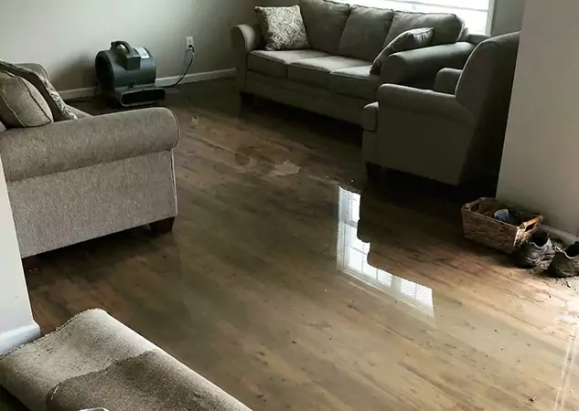 Your Trusted Restoration Company in Woodland Park, CO