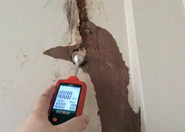 Your Water Damage Assessment Partner in Woodland Park, CO