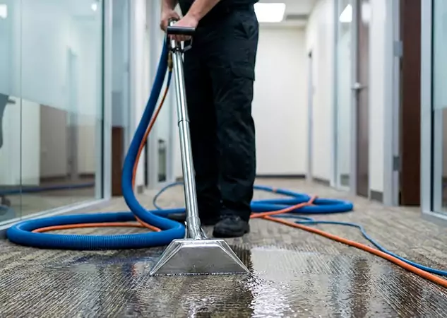 Your Water Damaged Carpet Restoration Partner in Woodland Park, CO