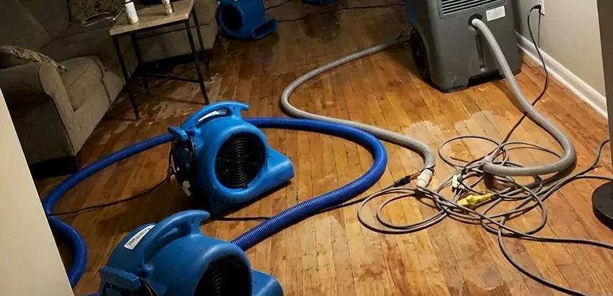 Basement Flood Restoration Services in Woodland Park