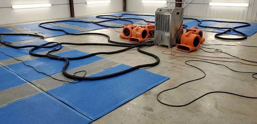 Large-Scale Water Cleanup in Woodland Park