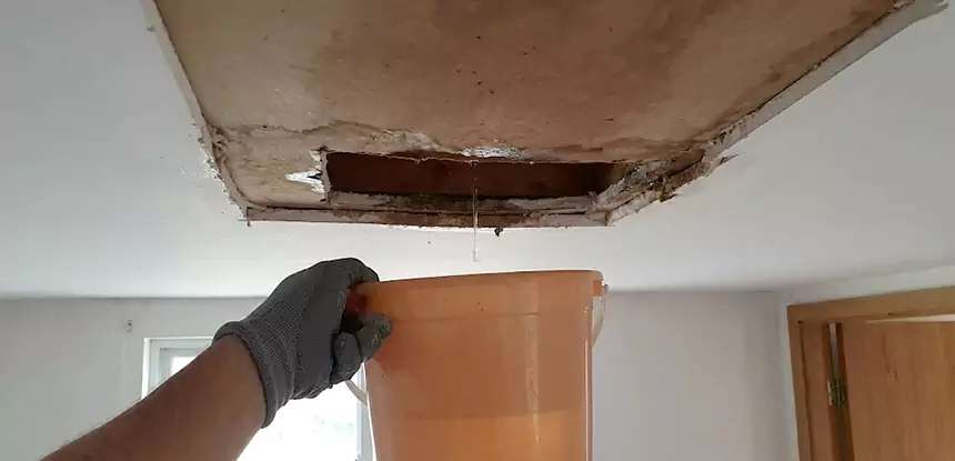 Ceiling Mold Repair Woodland Park