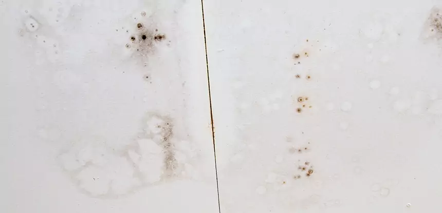 Professional Water Stain Repair Services in Woodland Park, CO