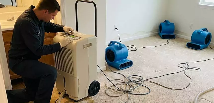Professional Wet Carpet Removal Services in Woodland Park, CO