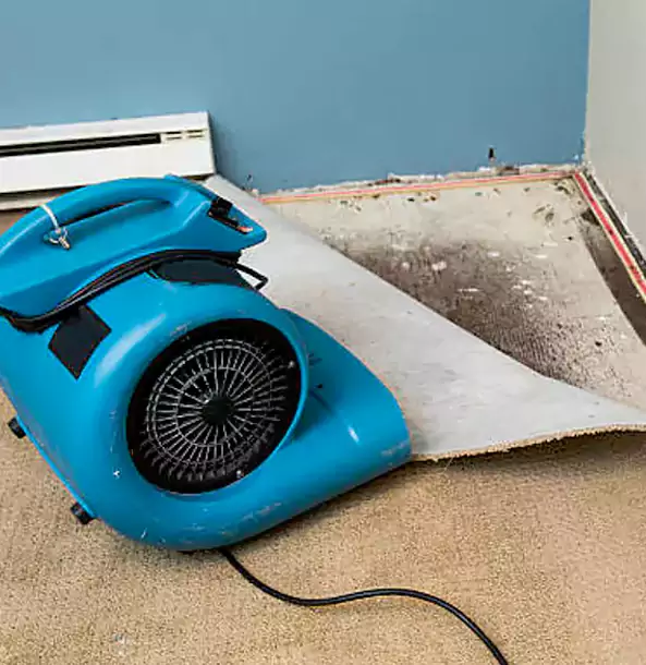 Why Woodland Park Trusts Woodland Park Restoration Pro for Carpet Flood Recovery?