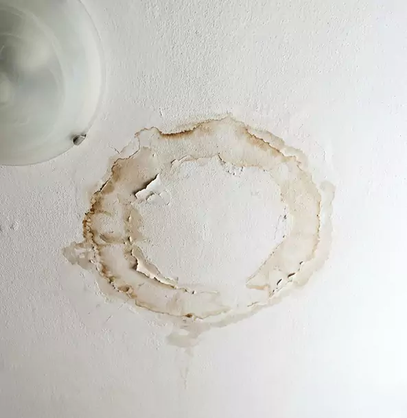 Why Woodland Park Property Owners Choose Woodland Park Restoration Pro for Ceiling Water Damage Restoration?