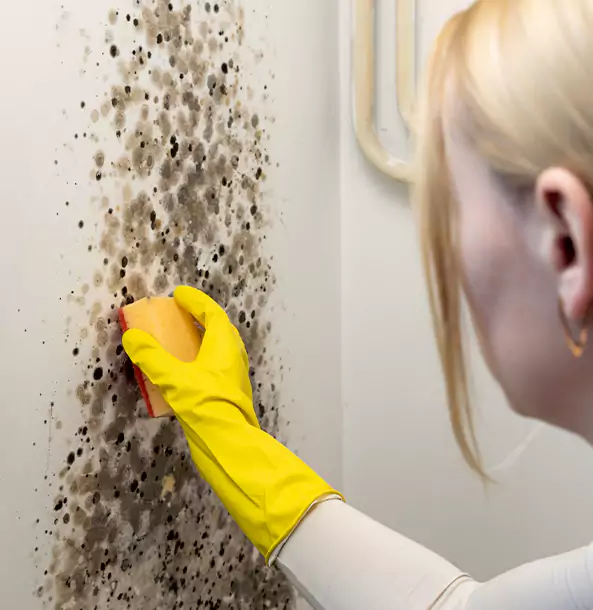 Why Woodland Park Restoration Pro Leads Mold Remediation in Woodland Park?