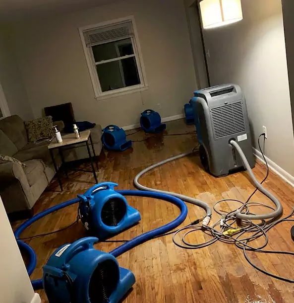 Why Woodland Park Property Owners Rely on Woodland Park Restoration Pro for Remediation?