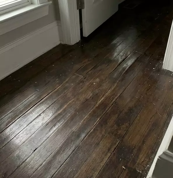 Why Woodland Park Homeowners Trust Woodland Park Restoration Pro to Fix Water Damaged Wood?