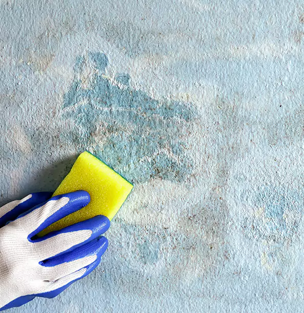Why Woodland Park Restoration Pro Is the Right Choice in Woodland Park, CO?
