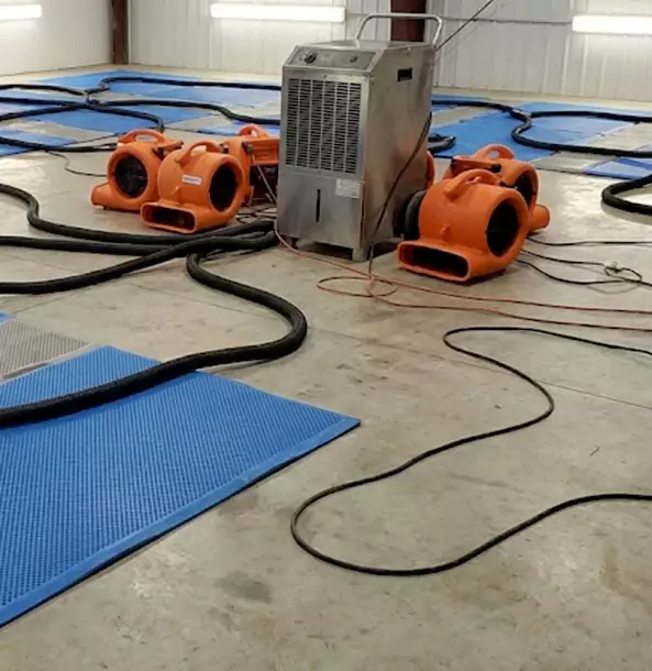 Why Woodland Park Homeowners and Businesses Choose Woodland Park Restoration Pro for Wet Carpet Removal?