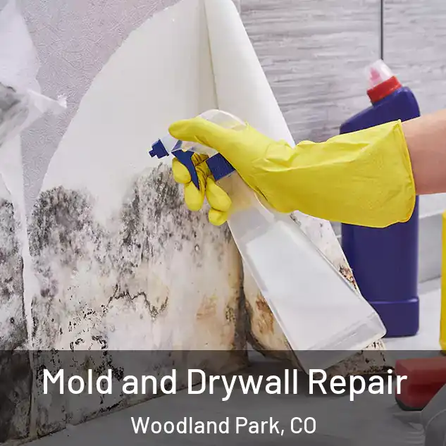  Mold and Drywall Repair Woodland Park, CO