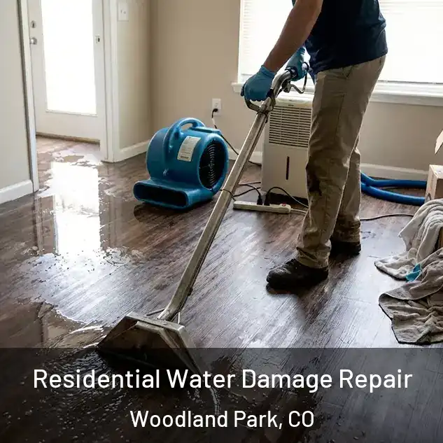  Residential Water Damage Repair Woodland Park, CO