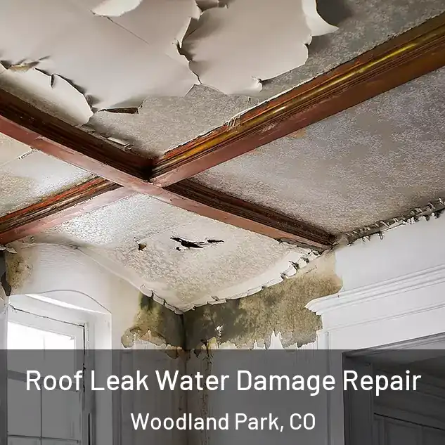  Roof Leak Water Damage Repair Woodland Park, CO