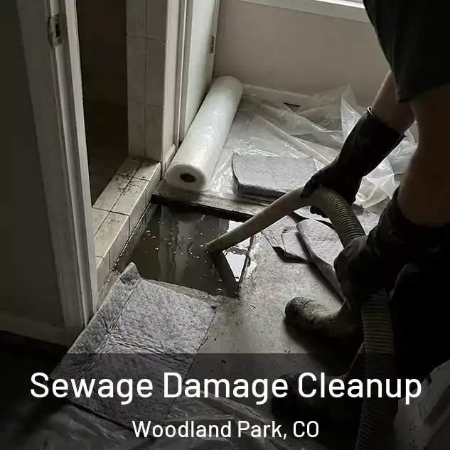  Sewage Damage Cleanup Woodland Park, CO