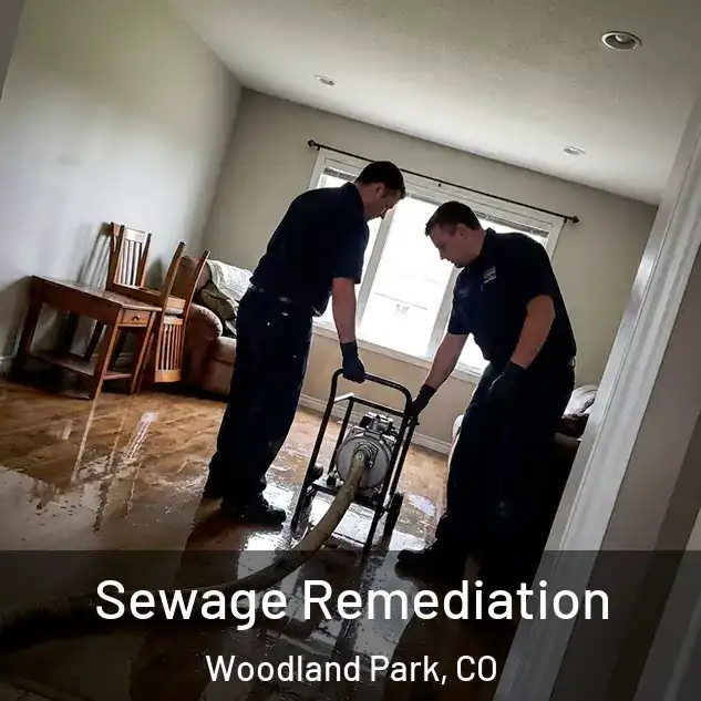  Sewage Remediation Woodland Park, CO