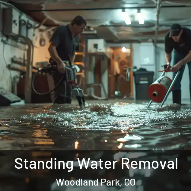  Standing Water Removal Woodland Park, CO