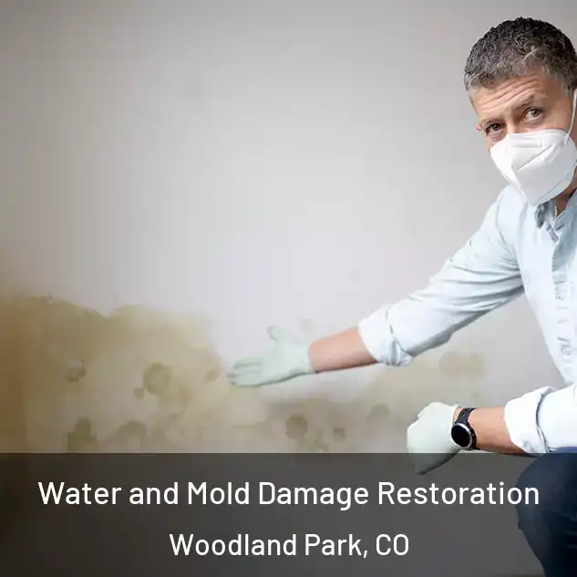  Water and Mold Damage Restoration Woodland Park, CO