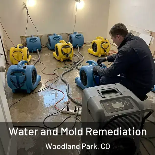  Water and Mold Remediation Woodland Park, CO