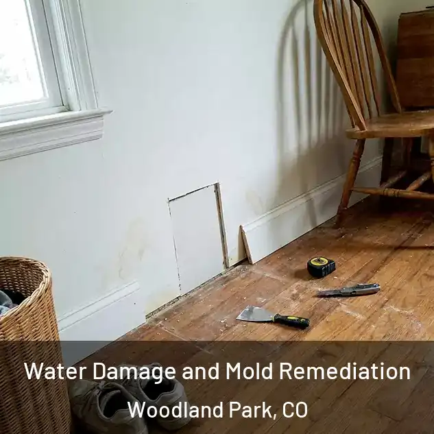  Water Damage and Mold Remediation Woodland Park, CO
