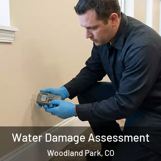  Water Damage Assessment Woodland Park, CO