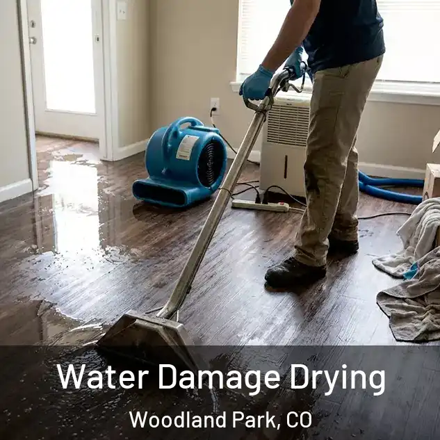  Water Damage Drying Woodland Park, CO