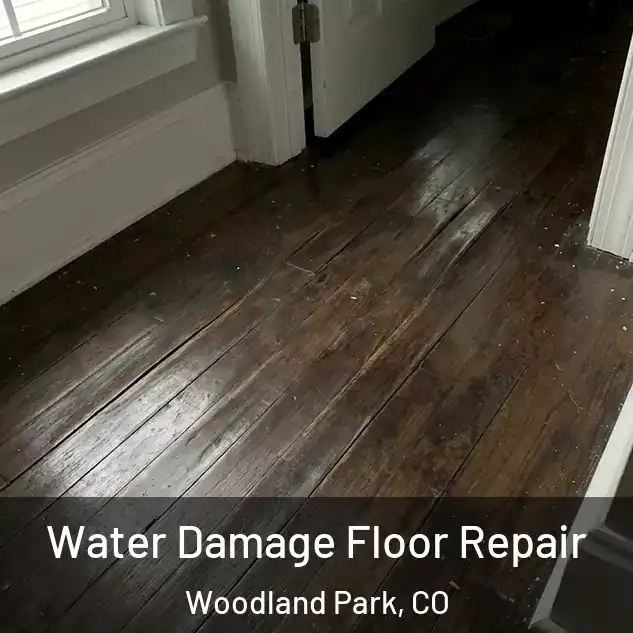  Water Damage Floor Repair Woodland Park, CO