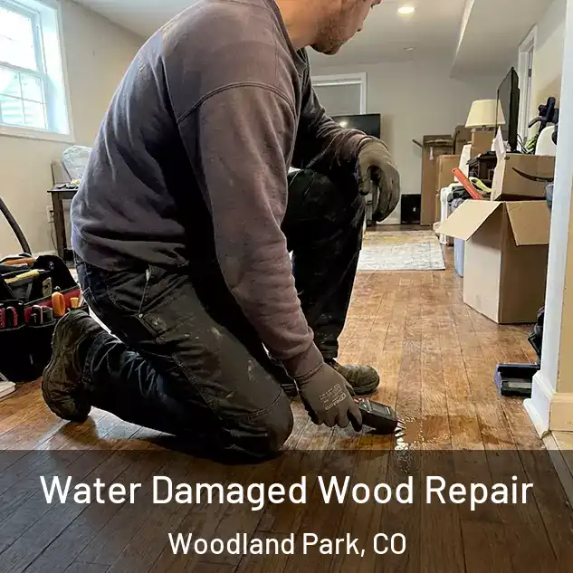  Water Damaged Wood Repair Woodland Park, CO