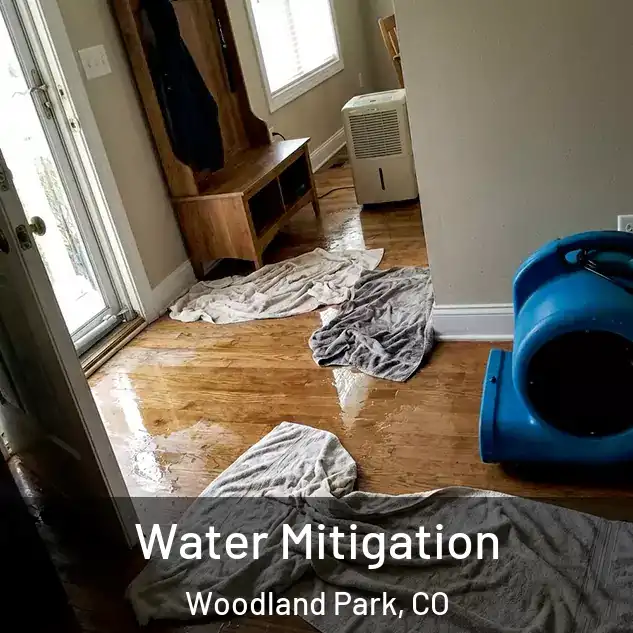  Water Mitigation Woodland Park, CO