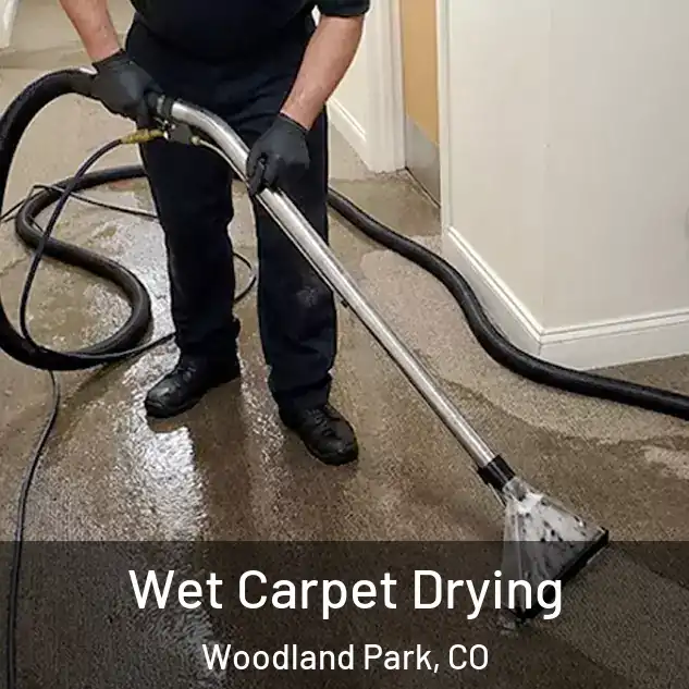 Wet Carpet Drying Woodland Park, CO