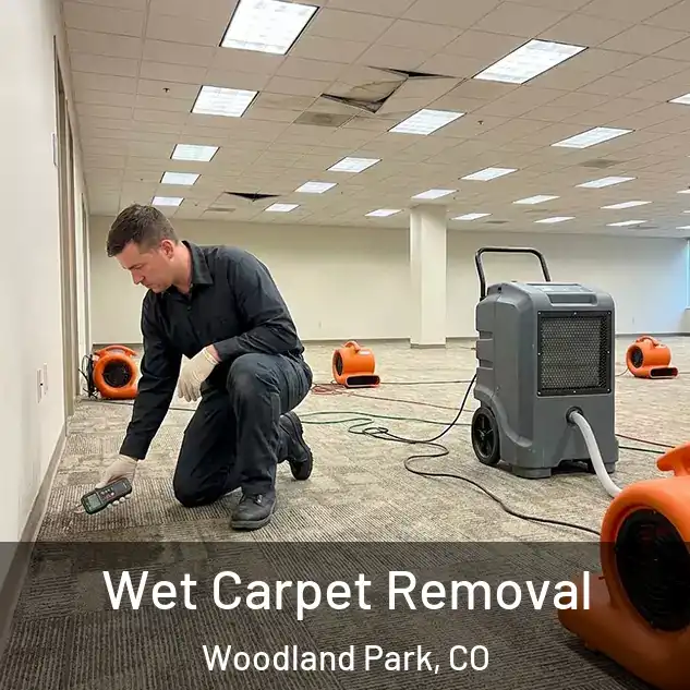  Wet Carpet Removal Woodland Park, CO